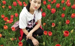 终极三国mp4下载